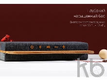 Портативная колонка «Mysound BT-27 Brown»