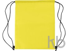 Polyester (210D) cooler bag