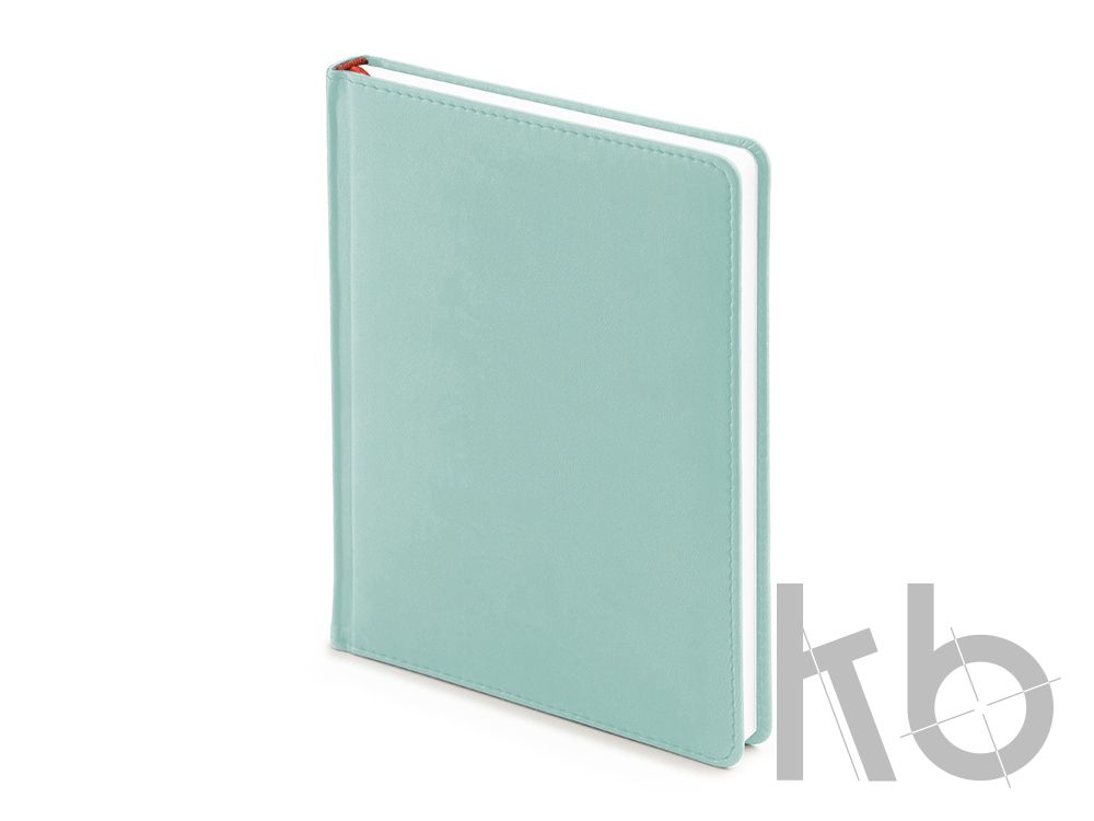 Ежедневник недатированный А6+ «Velvet»