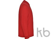 Рубашка поло «Carpe» мужская с длинным рукавом