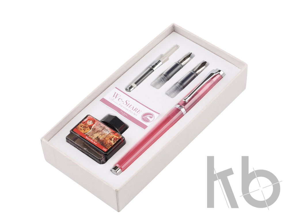 Набор «WE-Share»: ручка перьевая, сменные насадки, конвектор, чернила
