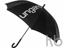 Зонт-трость