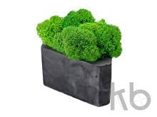 Кашпо бетонное со мхом «Гама»