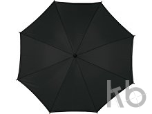 Polyester (190T) umbrella