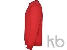 Свитшот с начесом «Clasica» унисекс