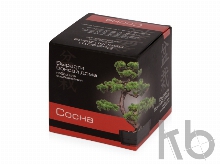 Подарочный набор «Вырасти Бонсай дома. Сосна»