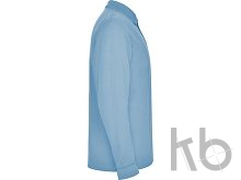 Рубашка поло «Estrella» мужская с длинным рукавом