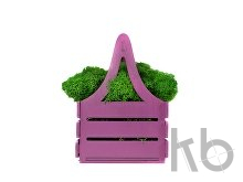 Композиция «Корзинка со мхом»