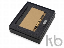 Подарочный набор Essentials с флешкой и блокнотом А5 с ручкой