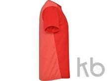 Спортивная футболка «Detroit» мужская