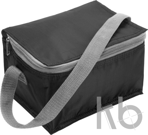 Polyester (420D) cooler bag