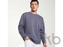 Свитшот «Teleno», унисекс