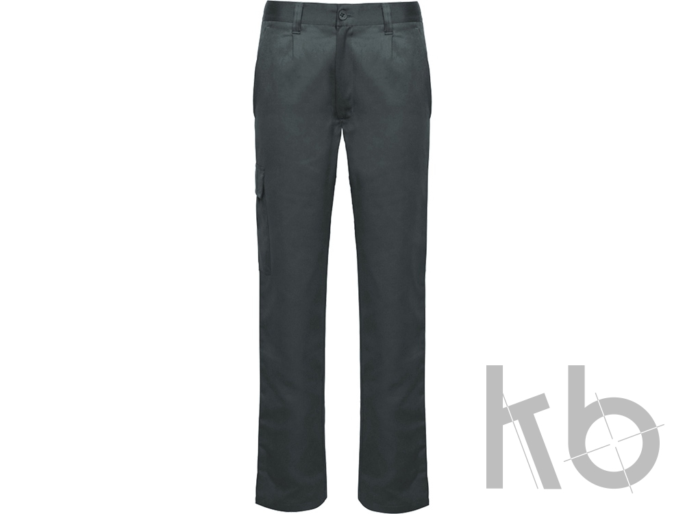 Брюки «Daily next», мужские