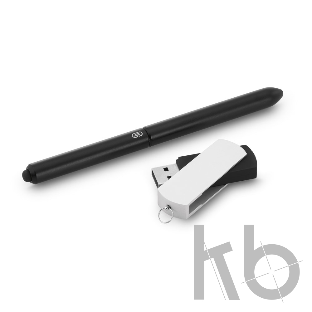 Набор: шариковая ручка, флеш-карта на 4 Гб