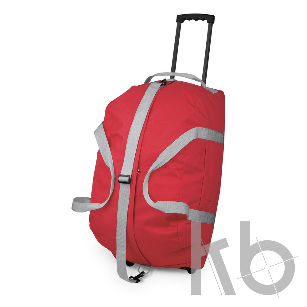 Спортивная сумка на колесах