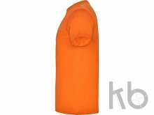 Футболка «Beagle» мужская