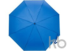 Pongee (190T) umbrella