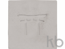 Подарочный набор «Вырасти Бонсай дома. Жасмин»