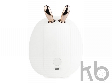 Светильник «LED Pika»