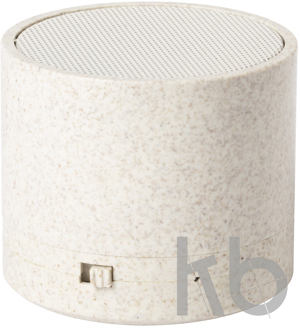 bluetooth speaker