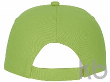 Бейсболка «Feniks»