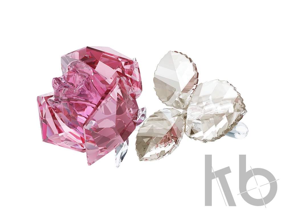 Цветущая роза