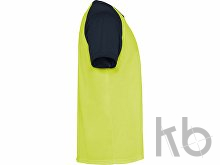 Спортивная футболка «Indianapolis» мужская