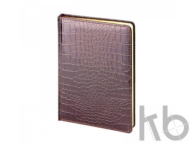 Ежедневник недатированный А5 «Caiman»