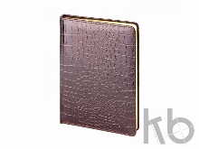 Ежедневник недатированный А5 «Caiman»