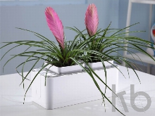 Компактный смарт-сад «iGarden»