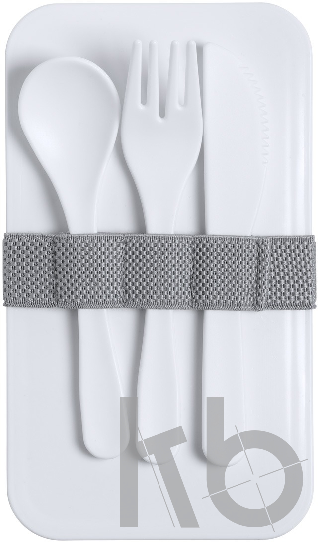 anti-bacterial lunch box