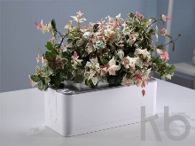 Компактный смарт-сад «iGarden»