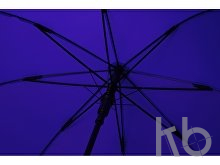 Зонт-трость полуавтомат «Wetty» с проявляющимся рисунком