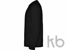 Футболка с длинным рукавом «Montecarlo» мужская