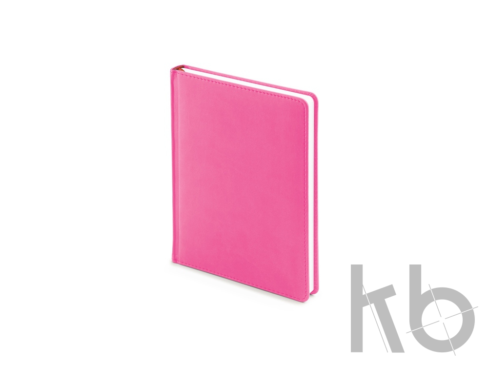 Ежедневник недатированный А6+ «Velvet»