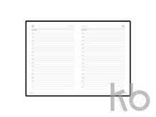 Ежедневник недатированный А6+ «Velvet»