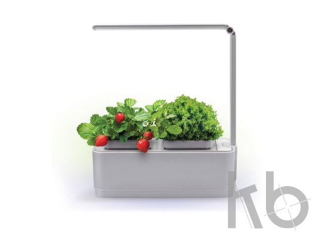 Компактный смарт-сад «iGarden LED» с подсветкой