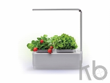 Компактный смарт-сад «iGarden LED» с подсветкой