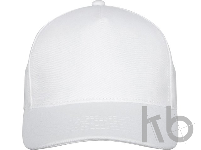 Бейсболка «Doyle»