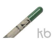 Карандаш, который растет. Ель голубая