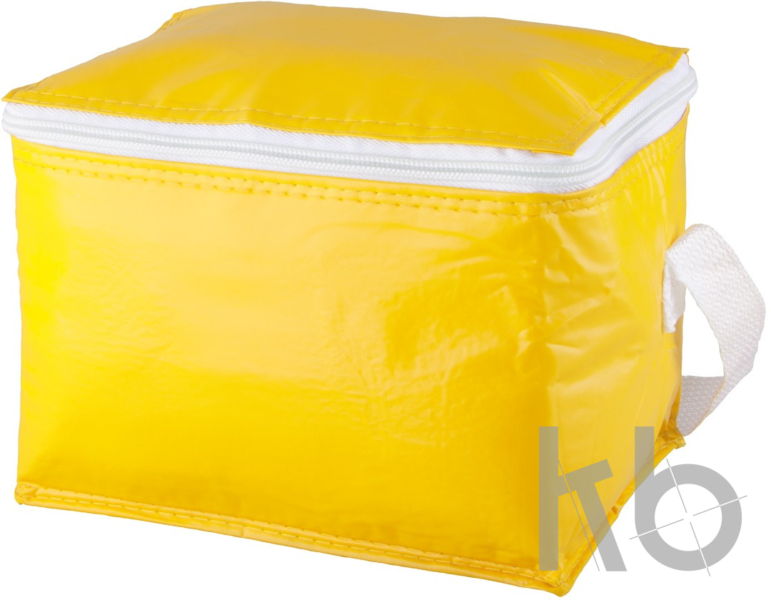 cooler bag