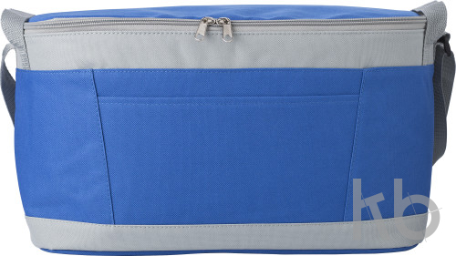 Polyester (600D) cooler bag