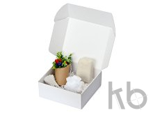 Подарочный набор «Ягодный аромат»