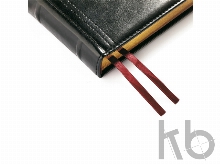 Ежедневник полудатированный А5 «Boss»