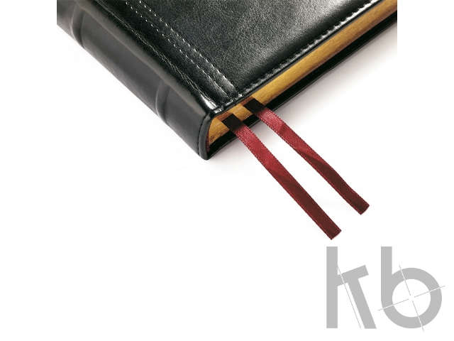 Ежедневник полудатированный А5 «Boss»