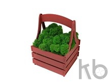 Композиция «Корзинка со мхом»