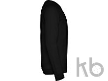 Свитшот «Annapurna» мужской