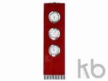 Метеостанция «Роза ветров»