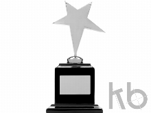 Награда «Звезда»