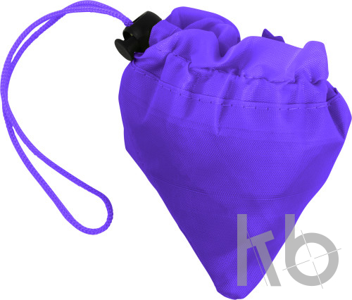 Polyester (210D) shopping bag